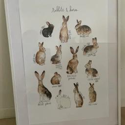 Ukendt Wild Rabbits plakat og ramme