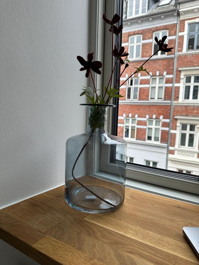 Ikea vase