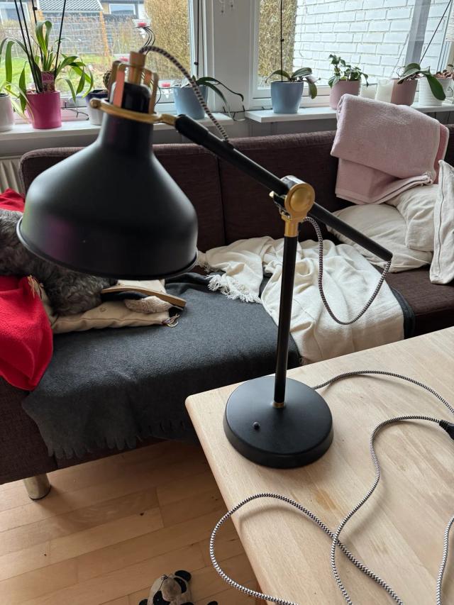 Ikea bordlampe