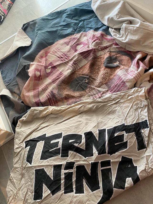 Ternet Ninja