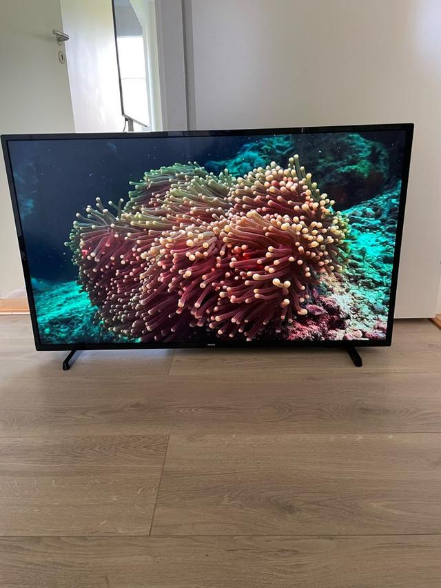 Philips 43" Perfekt